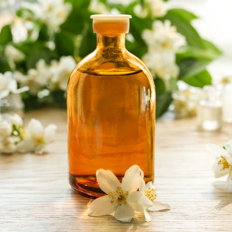 Cissus Quadrangularis